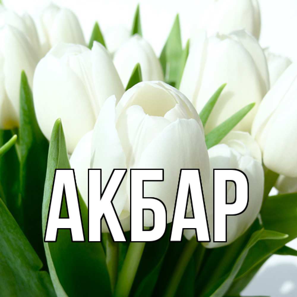 Открытка  с именем. Акбар, Главная  