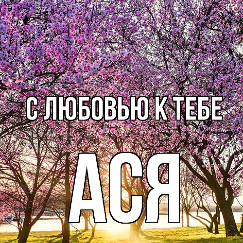 Открытка  с именем. Ася, С любовью к тебе  