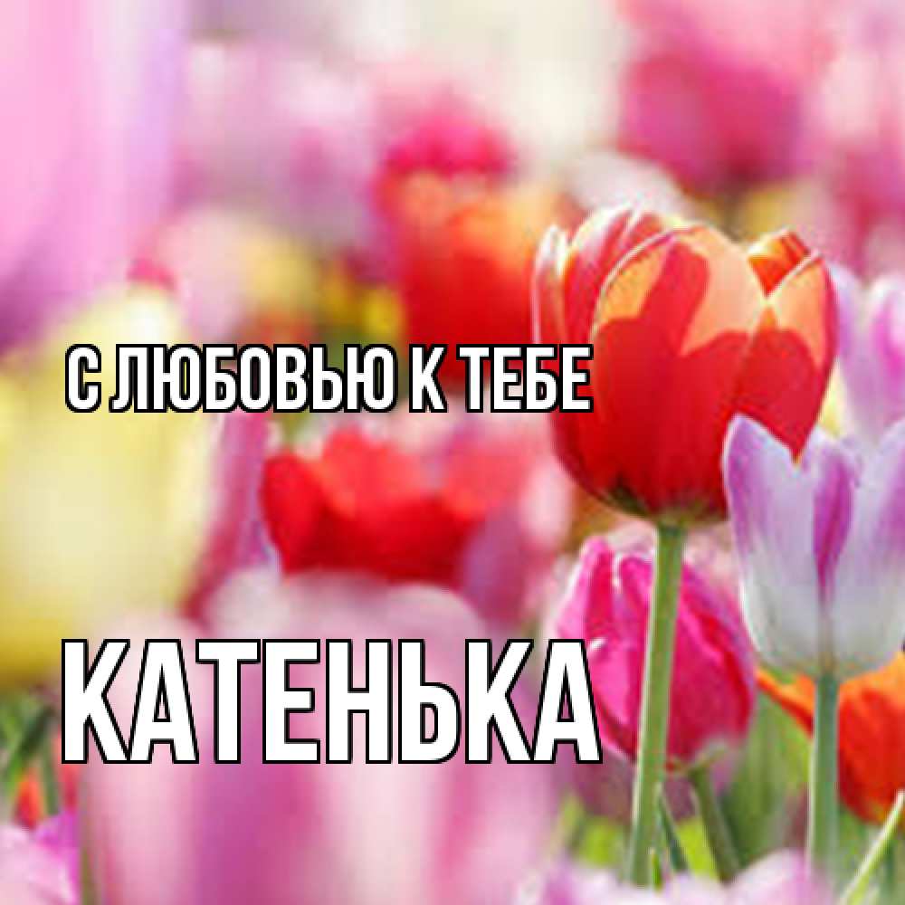 Открытка  с именем. Катенька, С любовью к тебе  