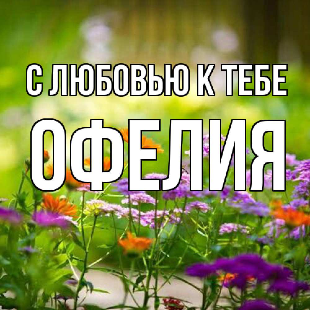 Открытка  с именем. Офелия, С любовью к тебе  