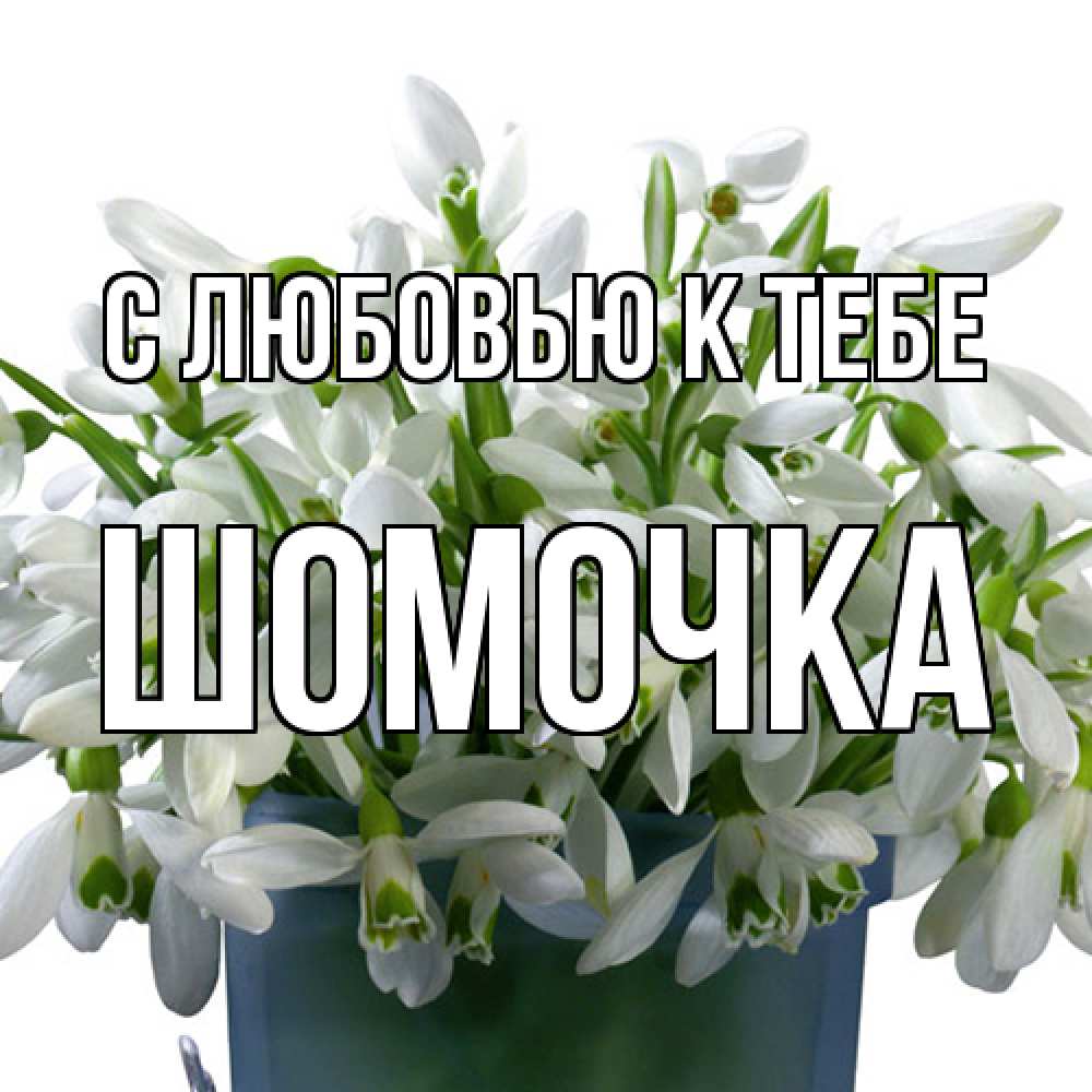 Открытка  с именем. Шомочка, С любовью к тебе  