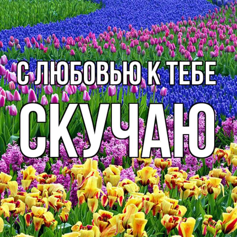 Картинка С любовью к тебе, Скучаю