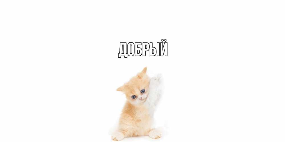 Открытка  с именем. Добрый, Главная  