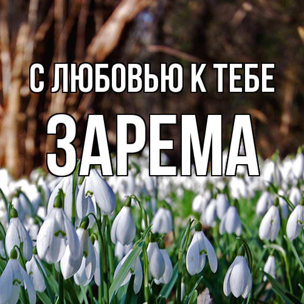 Открытка  с именем. Зарема, С любовью к тебе  