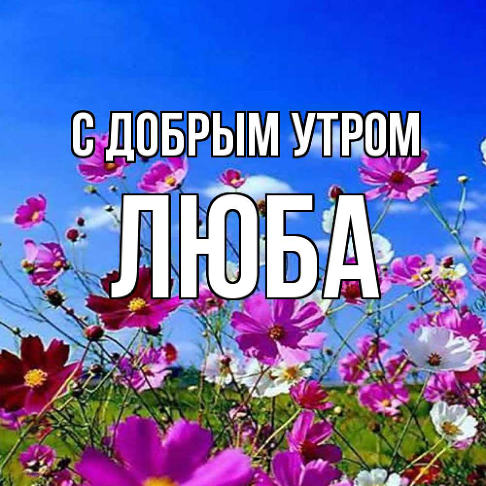 Открытка  с именем. Люба, С добрым утром  