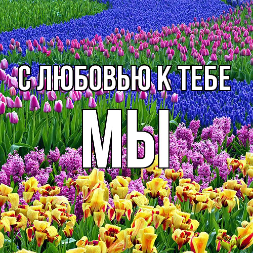 Открытка  с именем. Мы, С любовью к тебе  