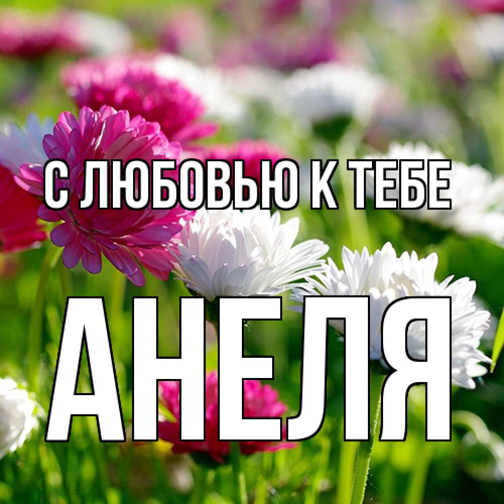 Открытка  с именем. Анеля, С любовью к тебе  