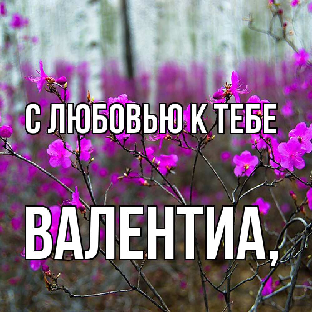 Открытка  с именем. Валентиа, С любовью к тебе  