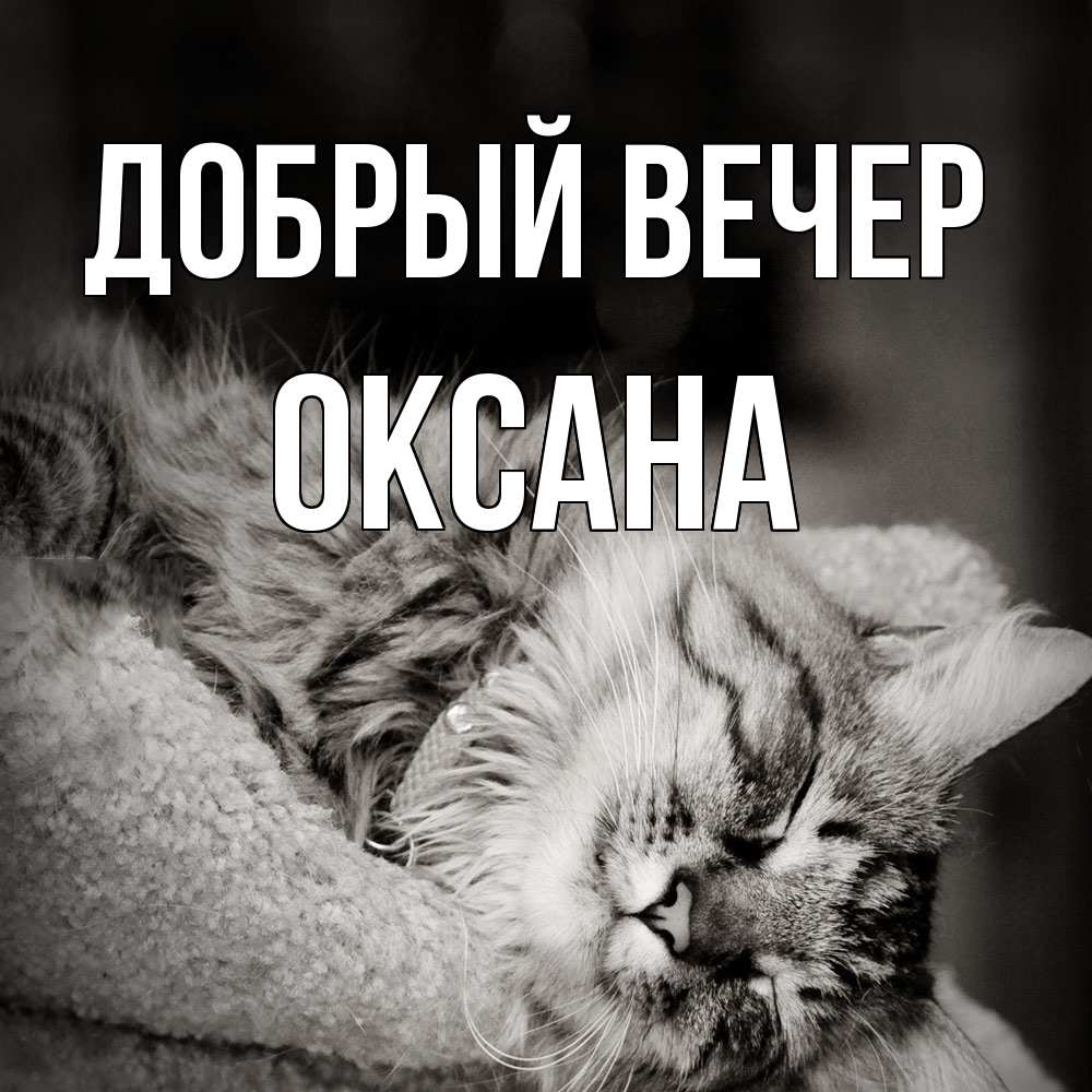 Открытка  с именем. Оксана, Добрый вечер  