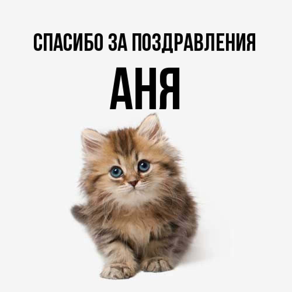Открытка  с именем. Аня, Спасибо за поздравления  