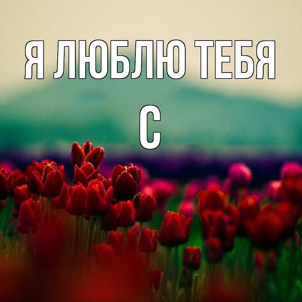 Открытка  с именем. с, Я люблю тебя  