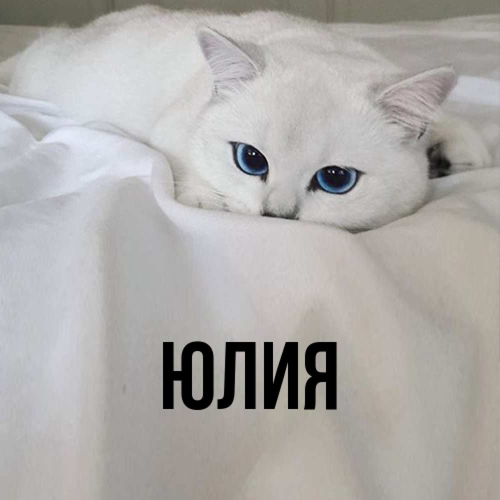 Открытка  с именем. Юлия, Главная  