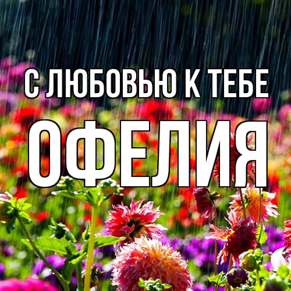 Открытка  с именем. Офелия, С любовью к тебе  