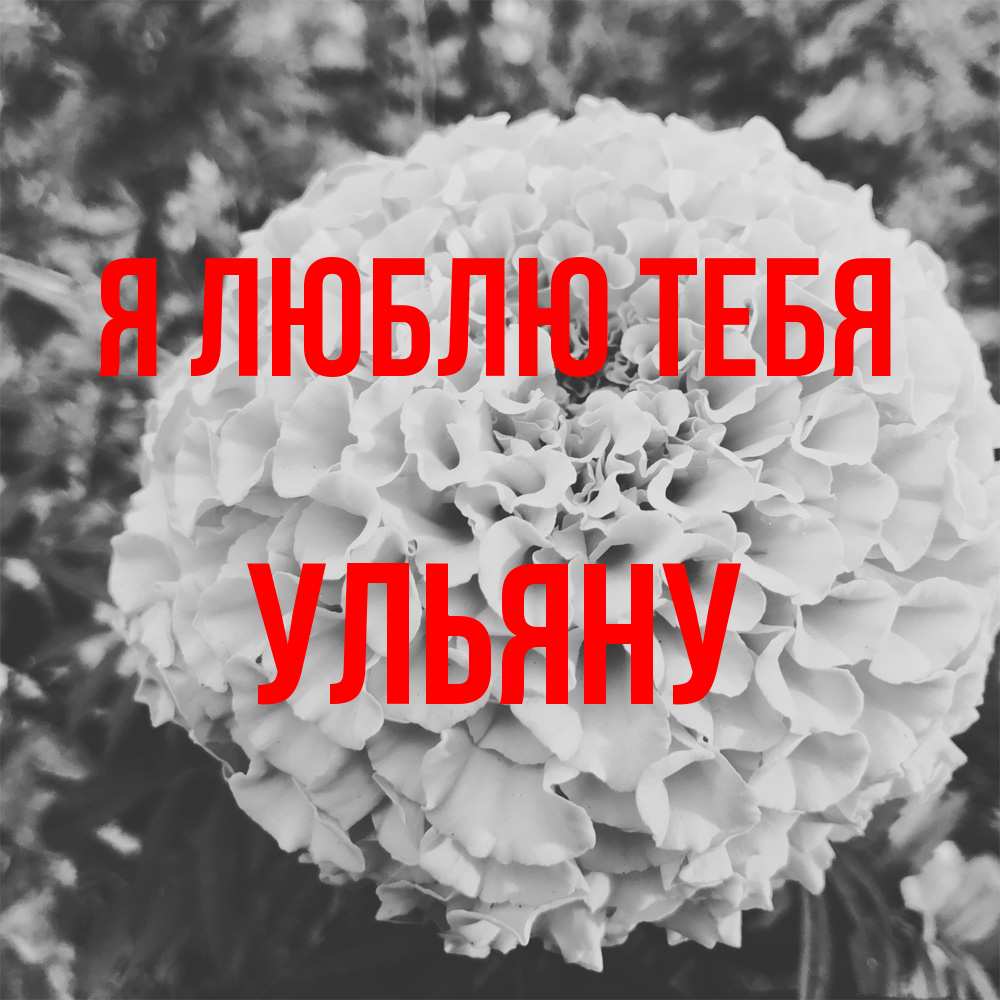 Открытка  с именем. Ульяну, Я люблю тебя  