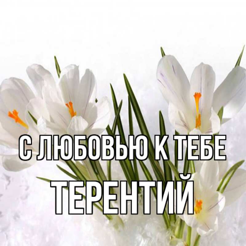 Картинка С любовью к тебе, Терентий