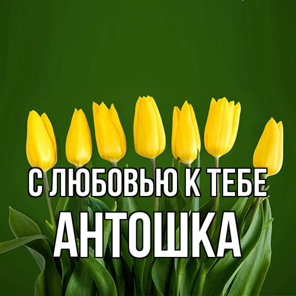 Открытка  с именем. Антошка, С любовью к тебе  