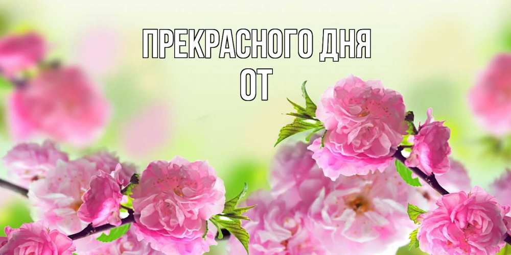 Открытка  с именем. От, Прекрасного дня  