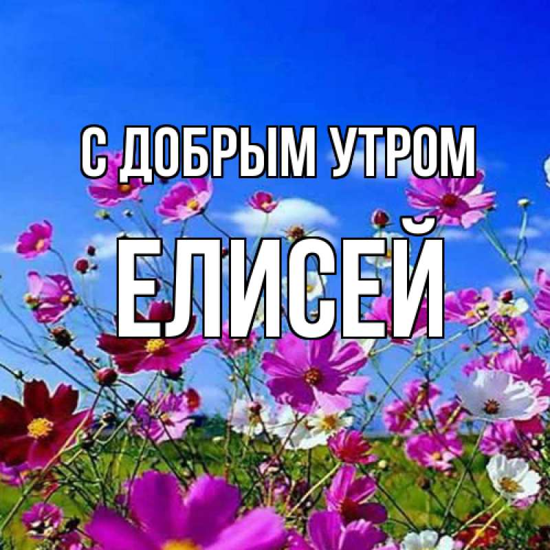 Картинка С добрым утром, Елисей