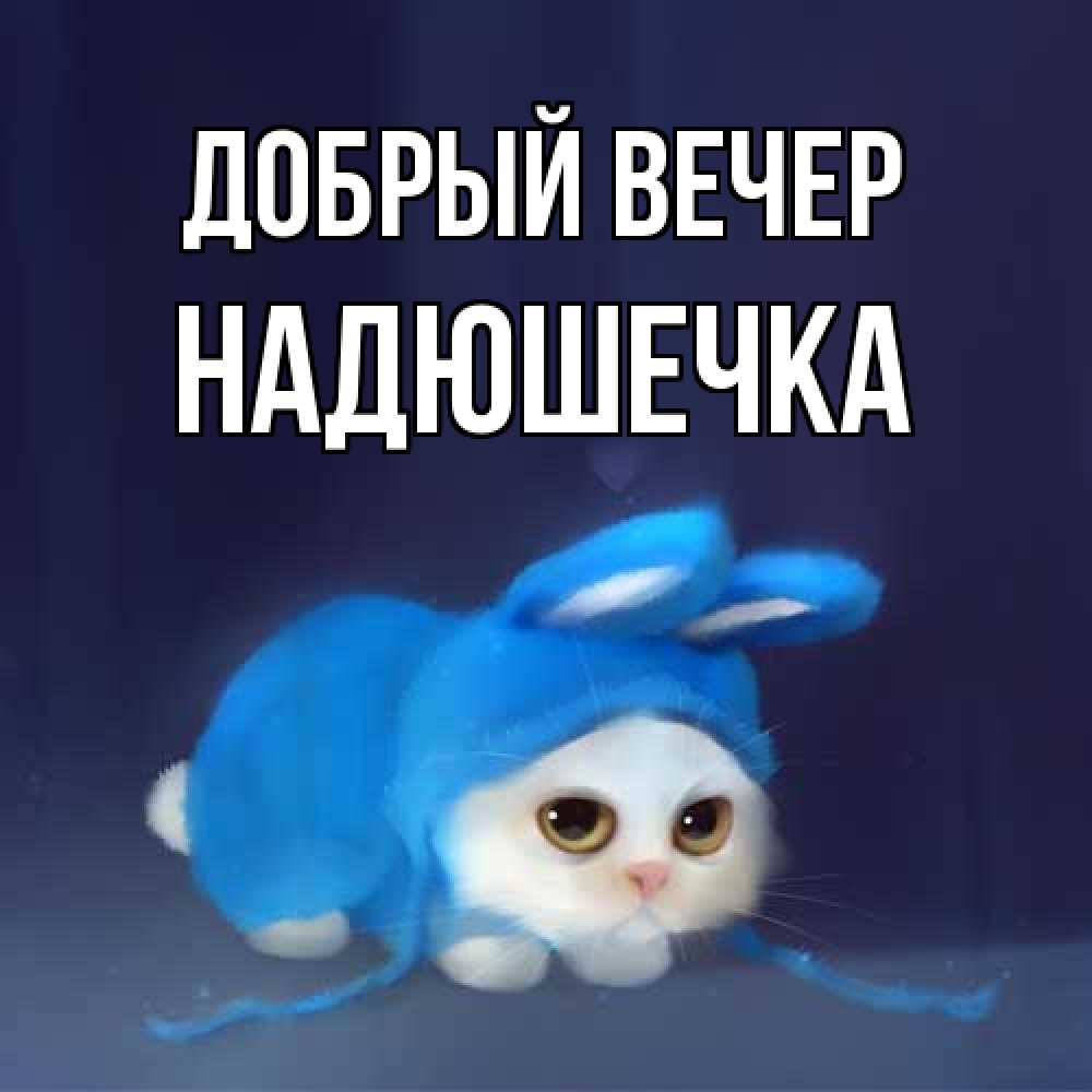 Открытка  с именем. Надюшечка, Добрый вечер  