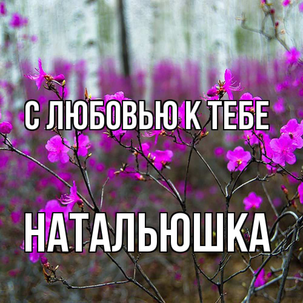 Открытка  с именем. Натальюшка, С любовью к тебе  