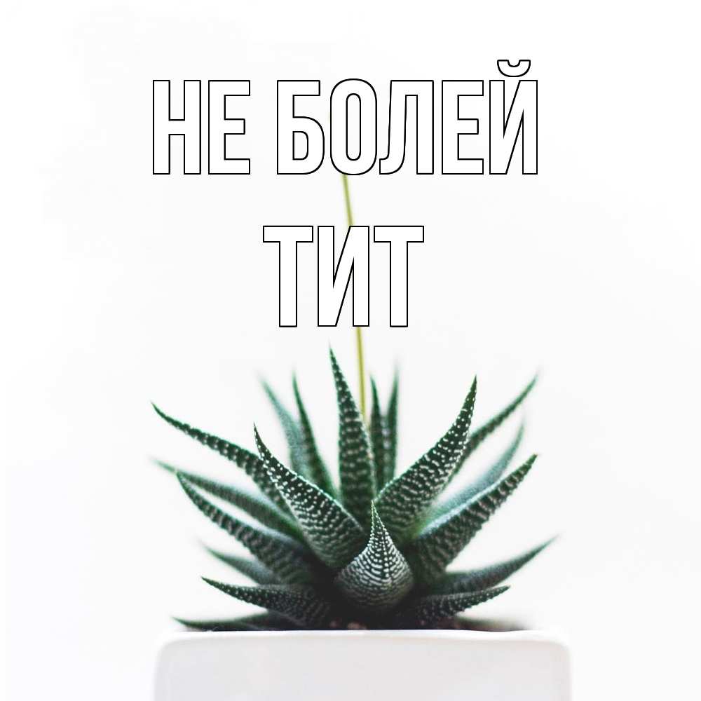 Открытка  с именем. Тит, Не болей  
