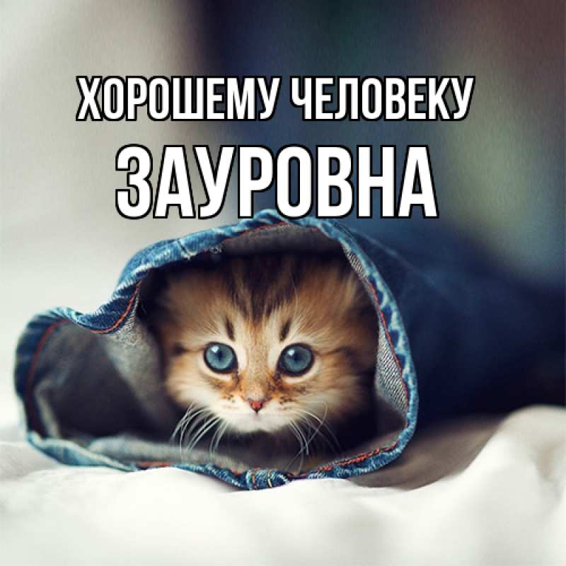 Картинка Хорошему человеку, Зауровна