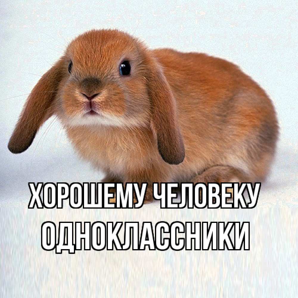 Открытка  с именем. Одноклассники, Хорошему человеку  