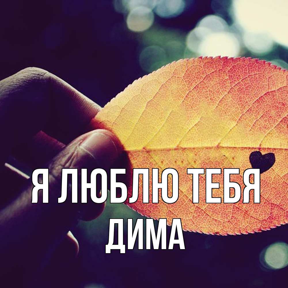Открытка  с именем. Дима, Я люблю тебя  
