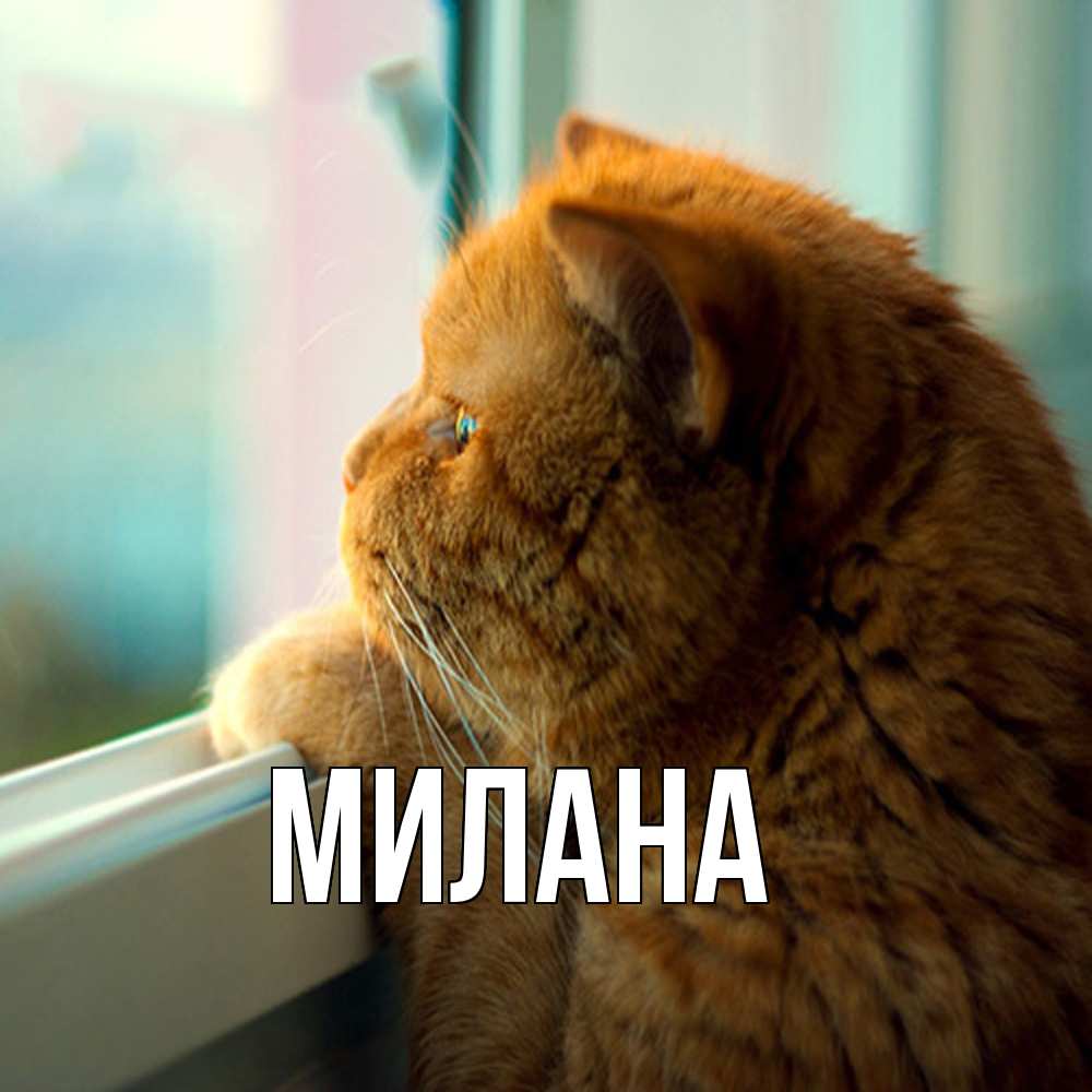 Открытка  с именем. Милана, Главная  