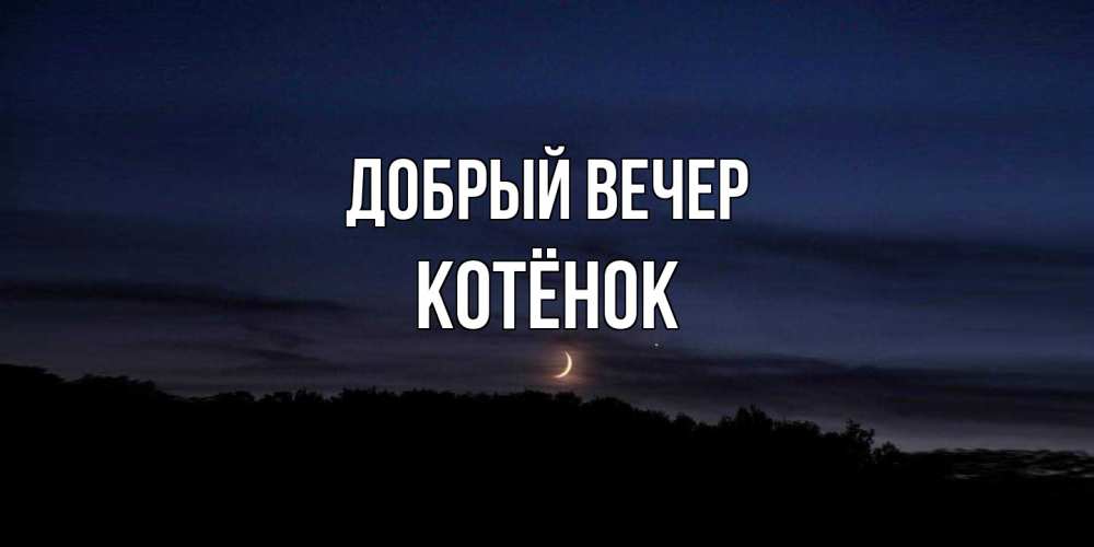 Открытка  с именем. Котёнок, Добрый вечер  