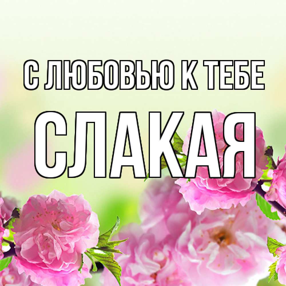 Открытка  с именем. Слакая, С любовью к тебе  