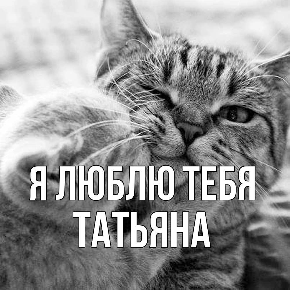 Открытка  с именем. Татьяна, Я люблю тебя  