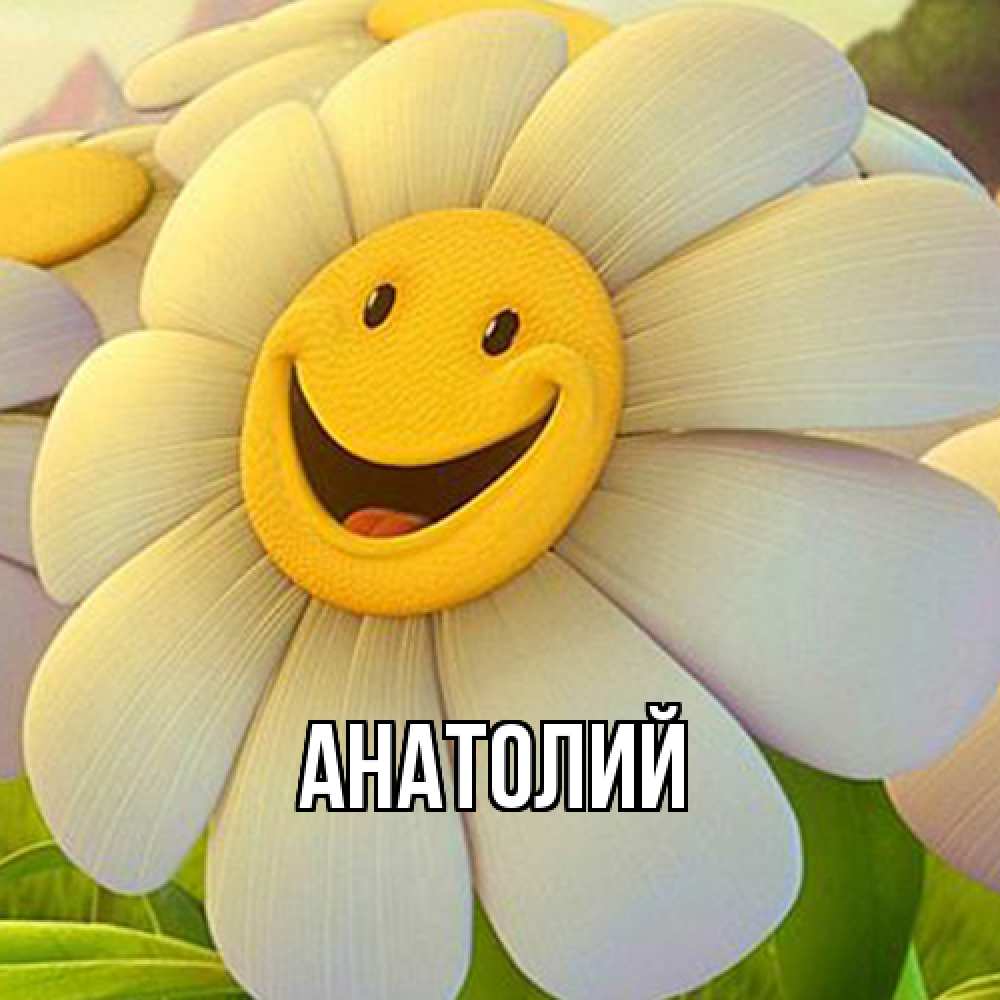 Открытка  с именем. Анатолий, Главная  