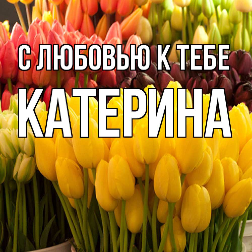 Открытка  с именем. Катерина, С любовью к тебе  