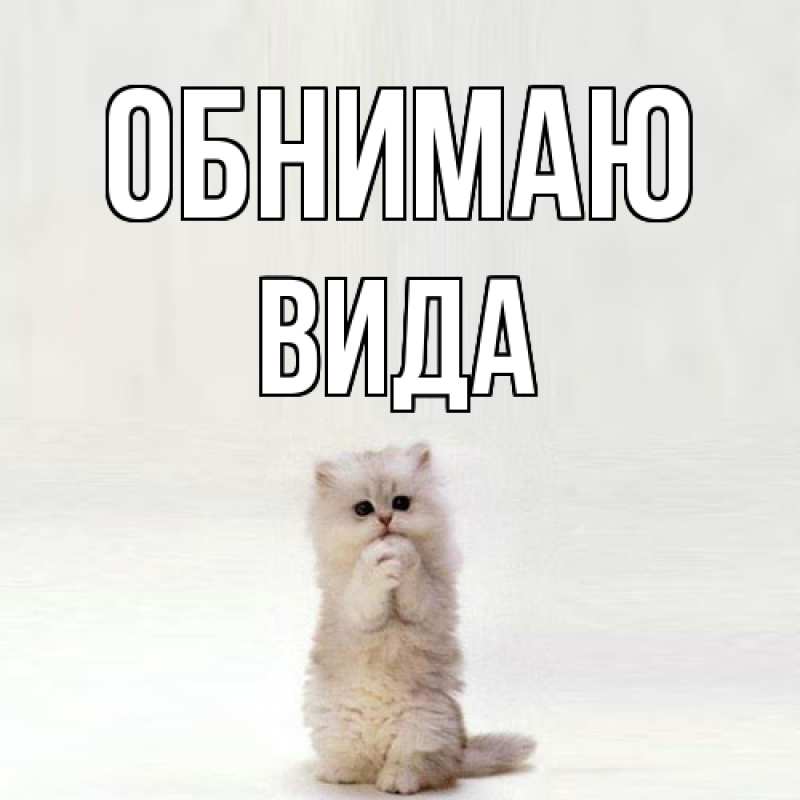 Картинка Обнимаю, Вида