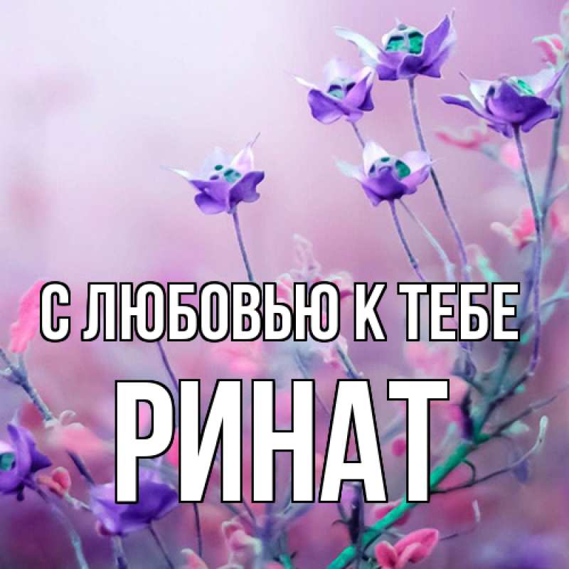Открытка с именем, Ринат, С любовью к тебе
