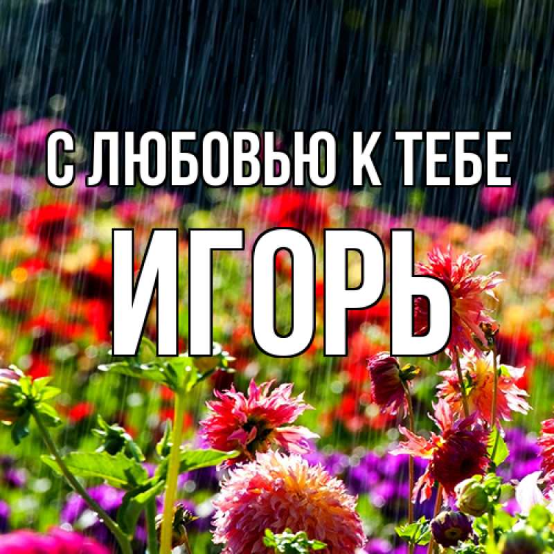 Картинка С любовью к тебе, Игорь
