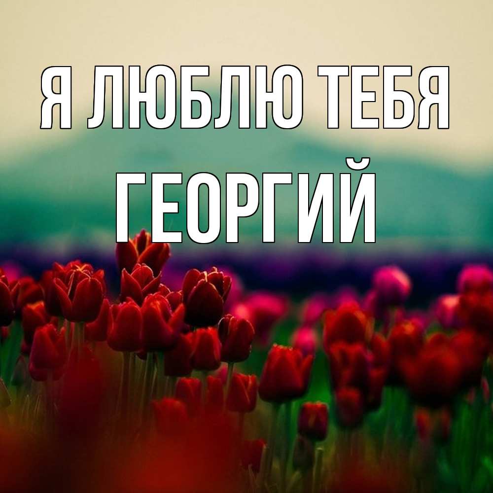 Открытка  с именем. Георгий, Я люблю тебя  