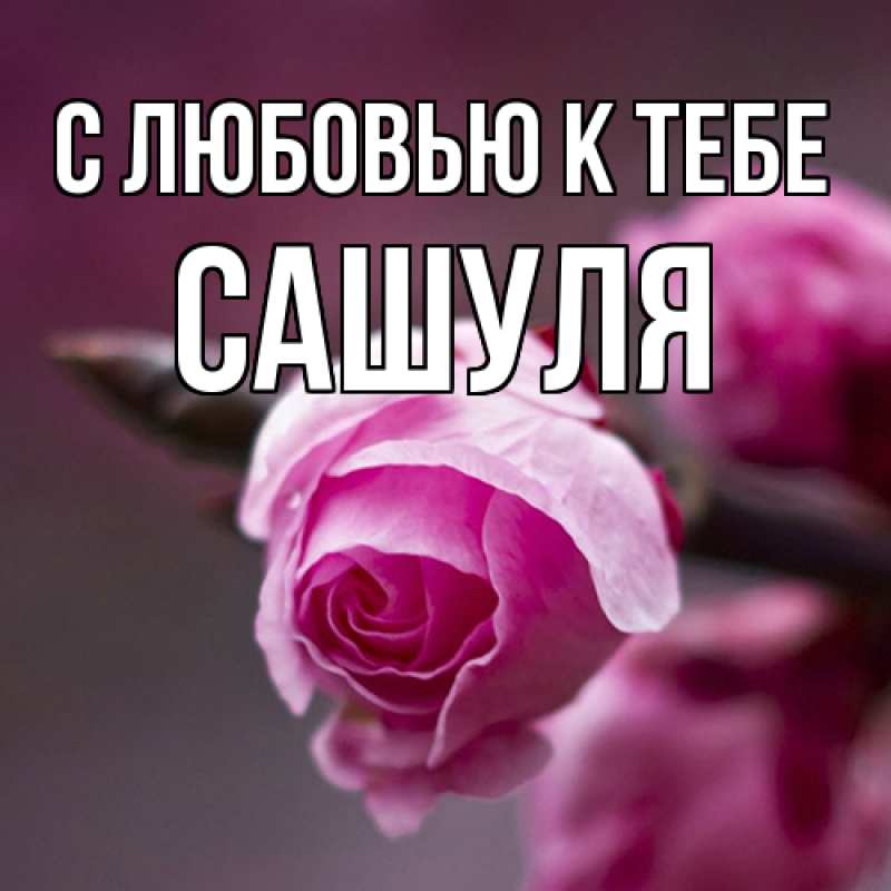 Картинка С любовью к тебе, Сашуля