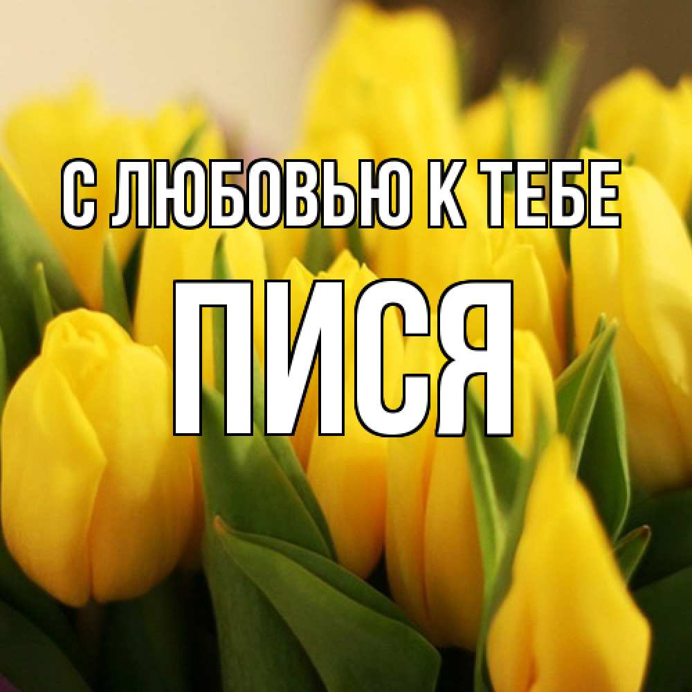 Открытка  с именем. пися, С любовью к тебе  