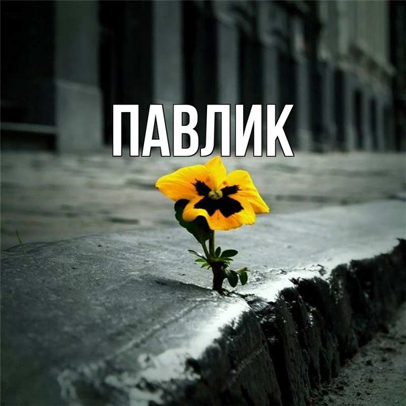 Картинка  с именем , Павлик