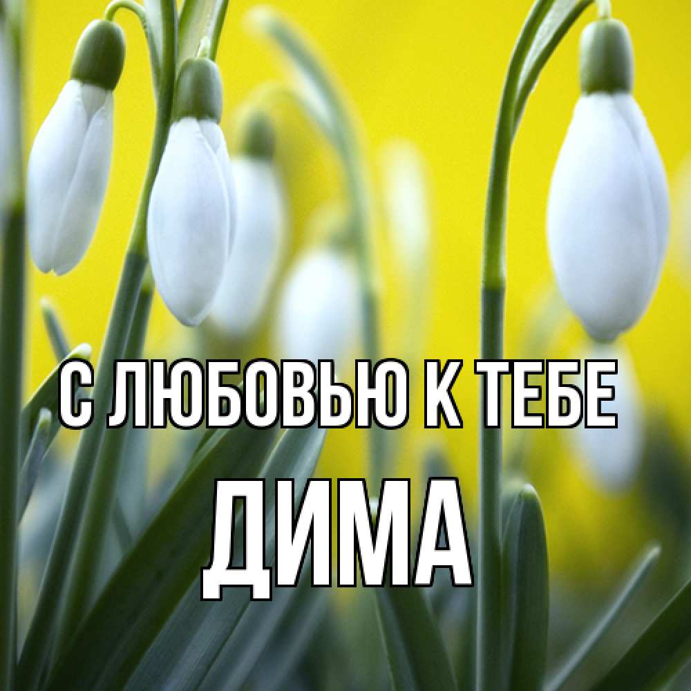 Открытка  с именем. Дима, С любовью к тебе  