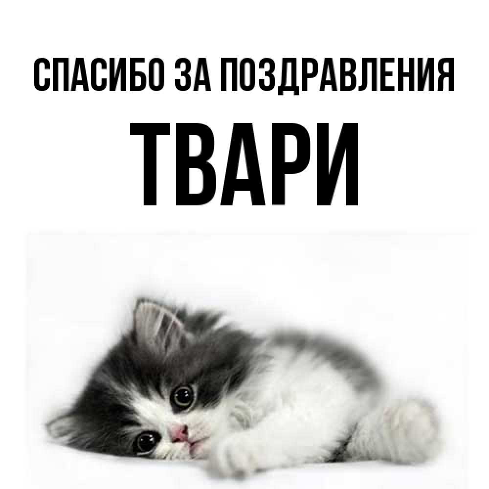 Открытка  с именем. твари, Спасибо за поздравления  