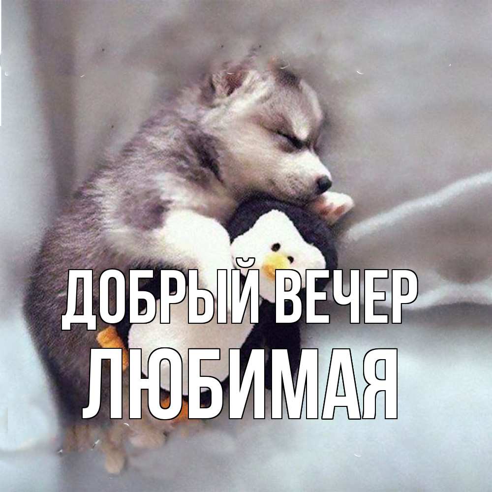 Открытка  с именем. Любимая, Добрый вечер  