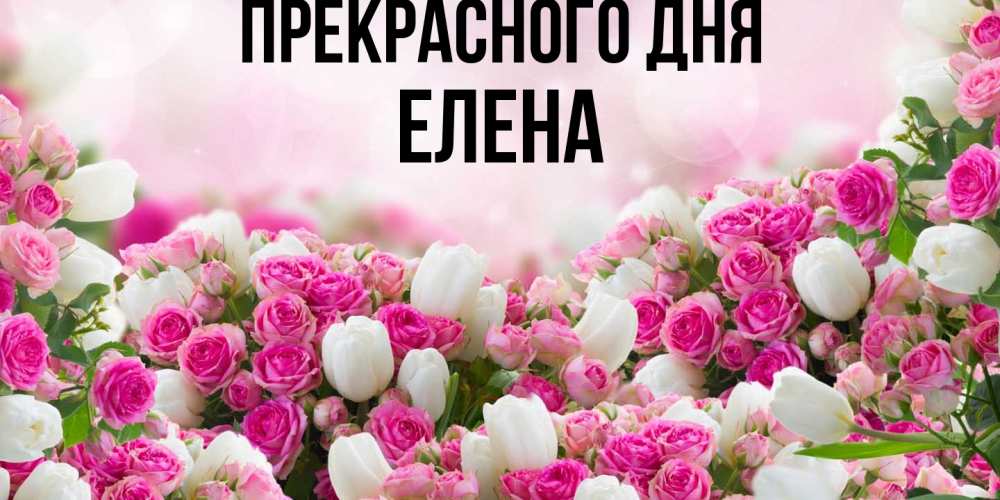 Открытка  с именем. Елена, Прекрасного дня  