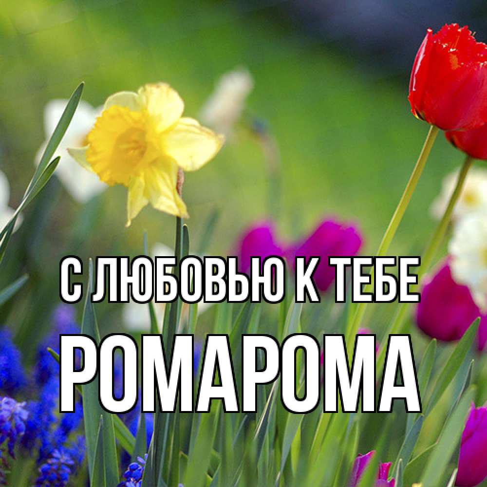 Открытка  с именем. РомаРома, С любовью к тебе  