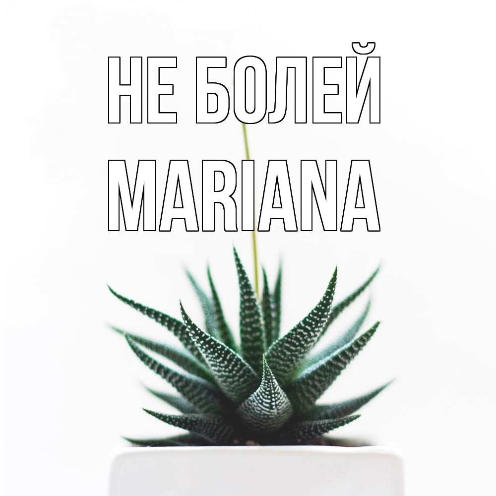 Открытка  с именем. mariana, Не болей  