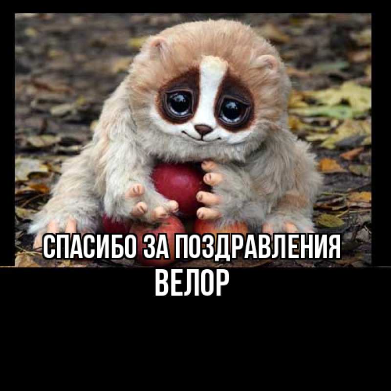 Открытка с именем, Велор, Спасибо за поздравления