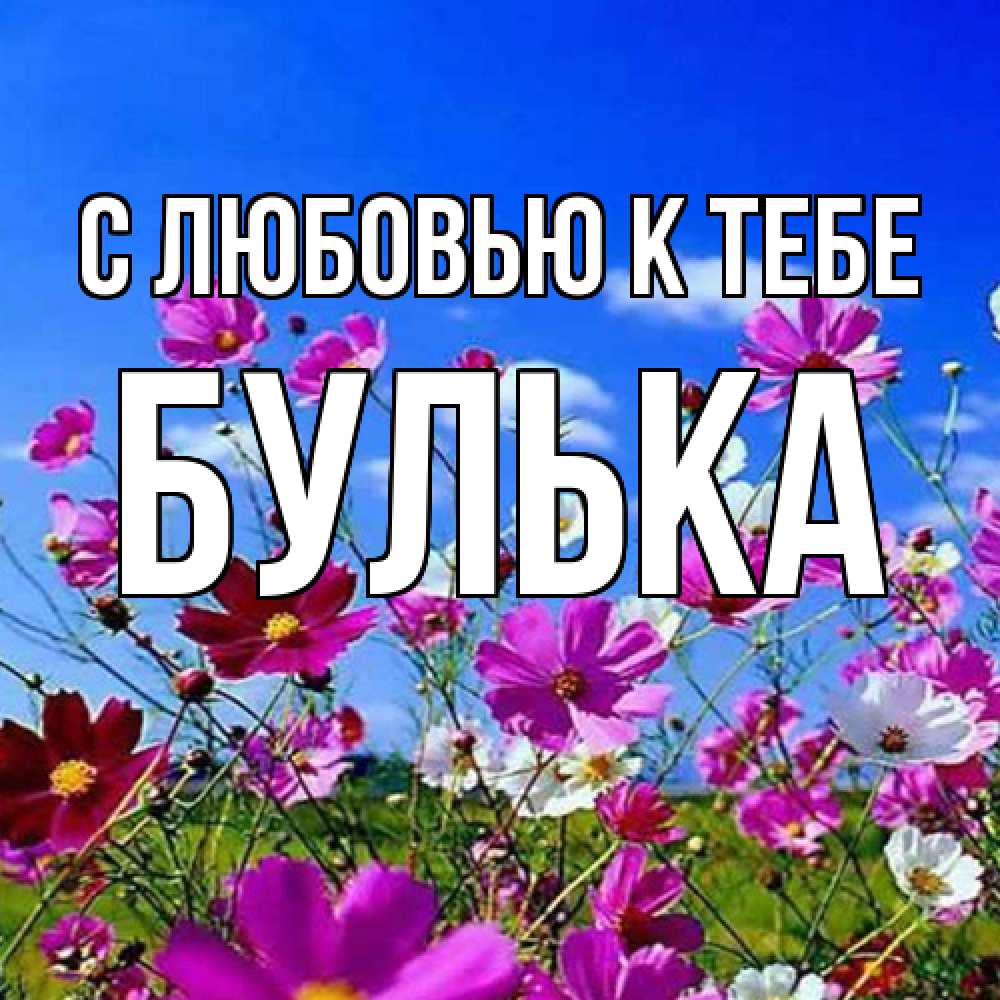 Открытка  с именем. Булька, С любовью к тебе  