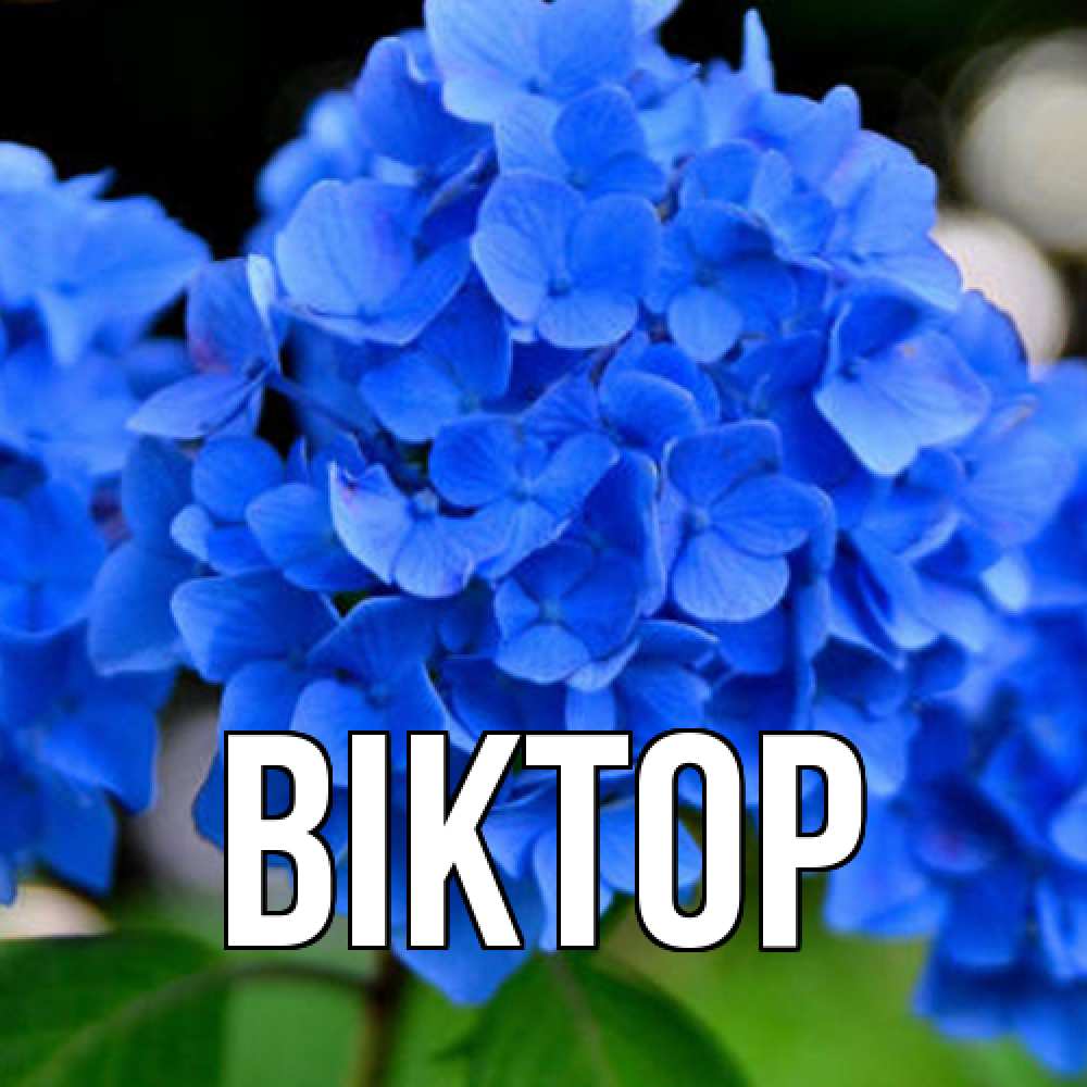 Открытка  с именем. Віктор, Главная  